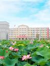 教学楼荷花池